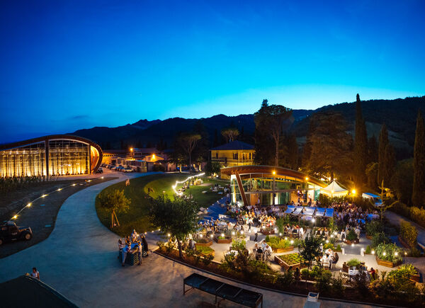 Ospitalità, vino e territorio: la cantina Poderi dal Nespoli al centro di un’esperienza enoturistica nella Valle del Bidente.