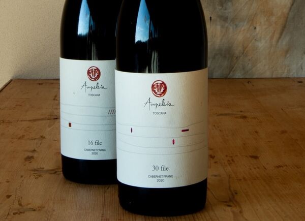 Ampeleia presenta “16 File” e “30 File”: Cabernet Franc in purezza, espressione dell’Alta Maremma.