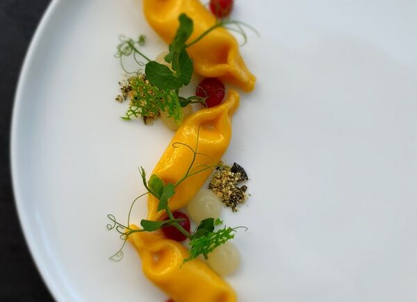 I sapori dell'Alto Adige all'hotel Gassenhof: l'estro dello chef Stefan Volgger, tra creatività e tradizione.