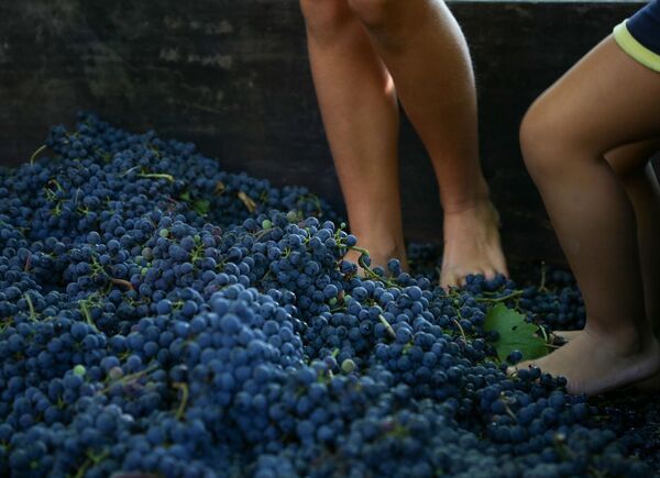 Festa della Vendemmia 2022 #Renaissance - La Rinascita incomincia dalla Speranza