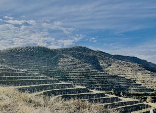 Albania, Çobo Winery punta alla promozione del territorio e alla qualità dei vini da vitigni autoctoni.