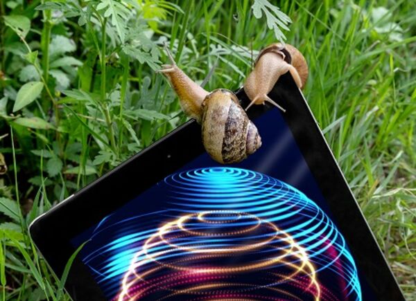 Mondodelvino a Helix 2020: sostenibilità e digitale per l’economia del futuro