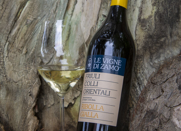 Vini pregiati certificati biologici per le annate 2021 della cantina friulana Le Vigne di Zamò