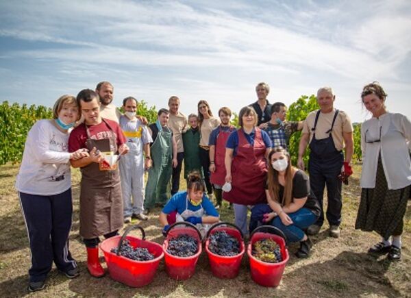 A Tenuta Sette Ponti, vendemmia e pranzo in vigna a sostegno dei ragazzi con disabilità