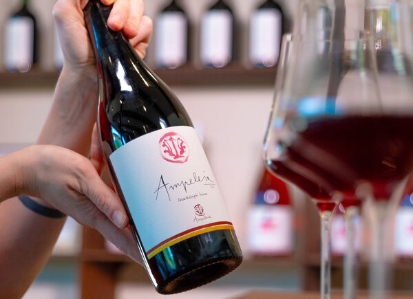 In Alta Maremma nasce un Cabernet Franc sorprendente: è Ampeleia, capace di incarnare il territorio 