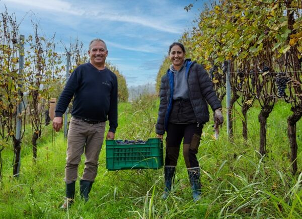 Fontanafredda presenta il Bilancio di Sostenibilità 2023: un presente responsabile che guarda al 2030.