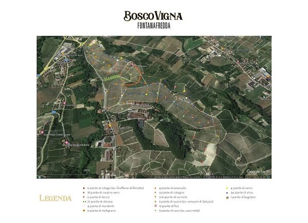 Bosco Vigna: un “manifesto” sul futuro della nostra Terra, dedicato ai Vigneron di Langa.