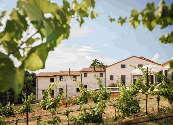 Castel Bricon, dimora di campagna: la rinascita di un antico casolare agricolo tra i Colli Berici.