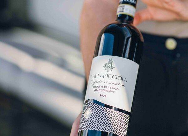 Nel 2025 Vallepicciola rafforza la sua identità di cantina d’eccellenza del Chianti Classico.
