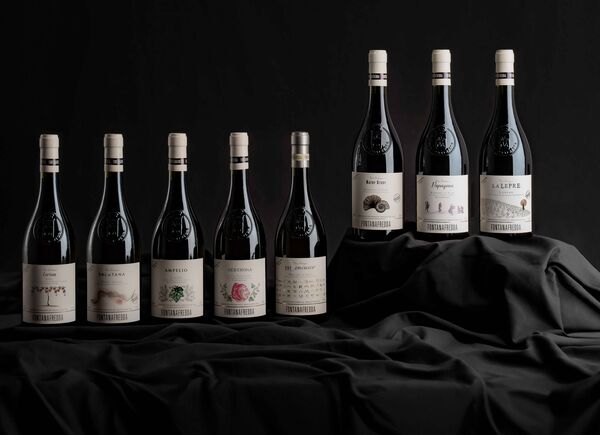 Evolversi per conservare l’essenza: Fontanafredda presenta la collezione “Vini Fini”.