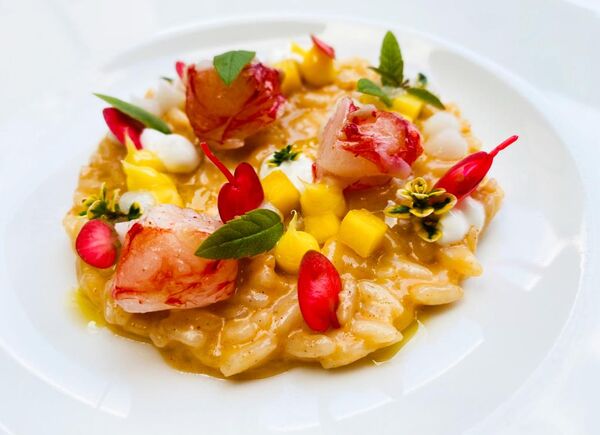 Cucina alpina con note mediterranee nelle scelte di Michael Mayr, chef executive del Quellenhof Luxury Resort Passeier. Ingredienti di stagione, erbe antiche e spezie alla base di ogni piatto.