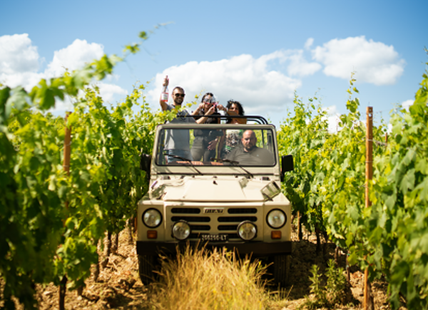 Wine Safari Experience tra le vigne di Vallepicciola: l’esclusivo Tour in Jeep per scoprire l’azienda e i suoi vigneti nel Chianti Classico.