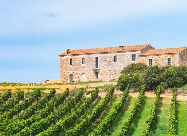 Un innovativo progetto vinicolo nell'Alta Gallura: LiSignori, anima autentica della Sardegna.
