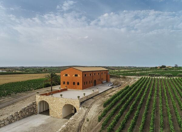 Feudo Maccari: l'amore per il vino e le tradizioni da cui nascono vini simbolo della Sicilia Orientale