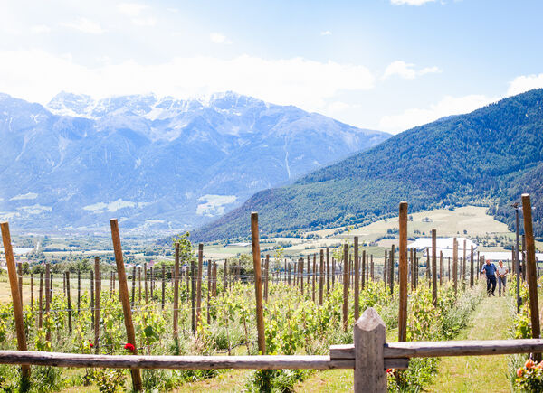 Settimana del vino all’hotel Garberhof di Malles Venosta, tra degustazioni e passeggiate nel vigneto a 1000 metri