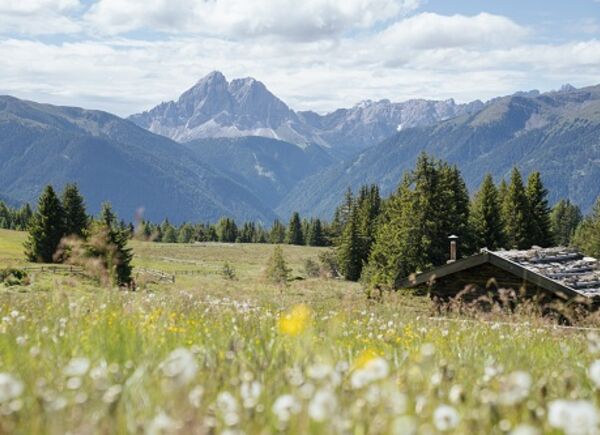 Dall'11 maggio al 1 giugno Malghe in Fiore, l'evento più autentico dell'Area Vacanze Sci & Malghe Rio Pusteria.