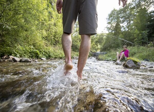Malghe in fiore, sbocciano in primavera gli eventi più genuini dedicati alla scoperta dell’area vacanze sci & malghe Rio Pusteria