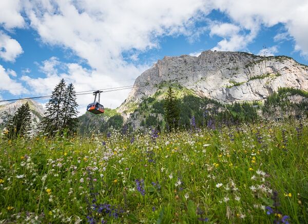 Con Marmolada - Move To The Top, un'estate tra natura e storia sul tetto delle Dolomiti