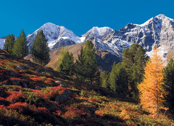 Nel Parco Naturale dello Stelvio tra i colori dell’autunno: le escursioni dell’Hotel Bella Vista di Trafoi