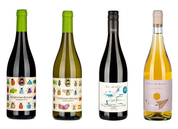 Dall’autenticità del territorio della Valle del Bidente, i vini “selvaggi” di Poderi dal Nespoli