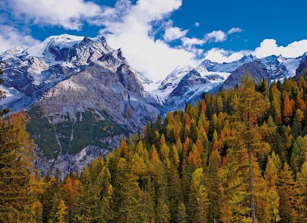 Tra autunno e inverno al family Hotel Bella Vista di Trafoi: foliage e sci in attesa della stagione invernale.