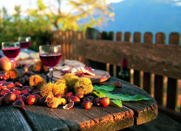 È tempo di vino. Vacanza tema “wine” in Alto Adige all’Hotel Terme Merano