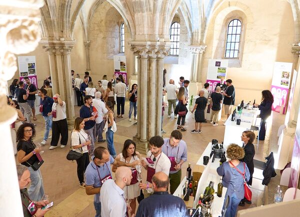Vini d’Abbazia 2026, la quinta edizione ha registrato oltre 5.000 presenze all’Abbazia di Fossanova.