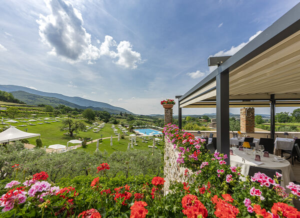Piscina olimpionica tra vigneti e ulivi con vista sulle colline del Lago di Garda. Fino al 30 settembre a Villa Cariola.