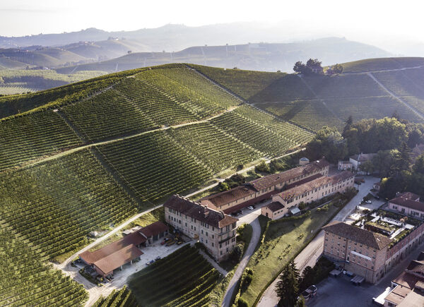 Il vino “verde” di Fontanafredda, simbolo di rinascita all’insegna della sostenibilità
