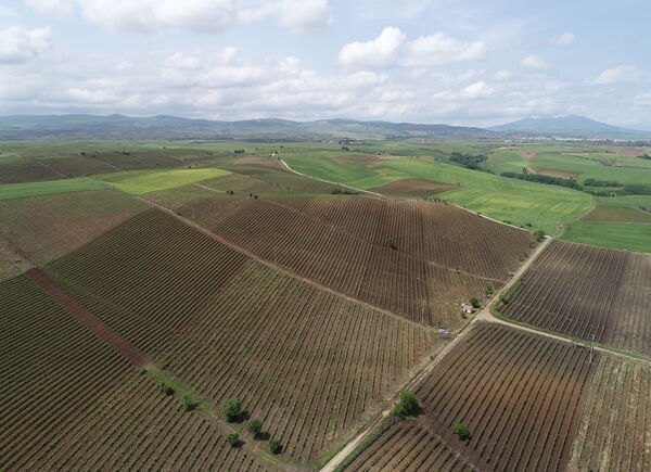 Venosa capitale del vino e della cucina lucana:  al via Gusto Nobile Basilicata by Merano WineFestival.