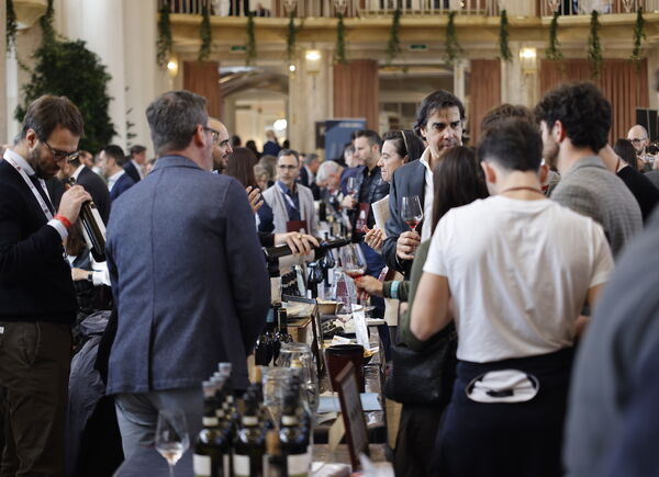 Merano WineFestival, novità e anteprime della 33° edizione che si terrà dall’8 al 12 novembre 2024.