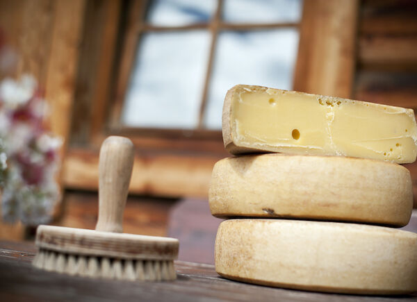 Il viaggio alla scoperta delle eccellenze casearie a base di latte di capra nell’area vacanze Rio Pusteria.