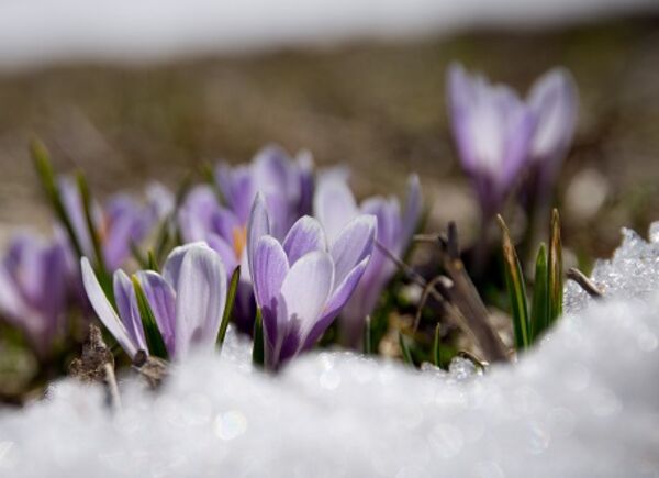 Il sentiero Anna, in Alto Adige, un percorso da esplorare per cogliere lo spirito più autentico della Valle Aurina