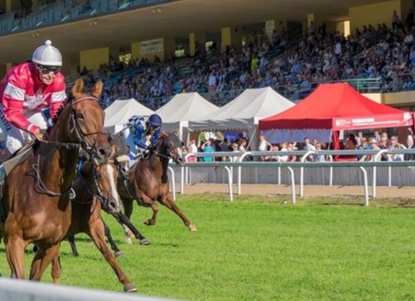 Il 29 e 30 settembre MWF in anteprima all’Ippodromo di Merano  