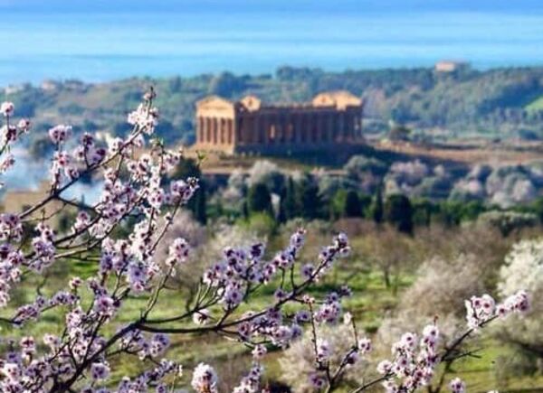 Le Soste di Ulisse alla 74^ edizione del Mandorlo in Fiore di Agrigento.