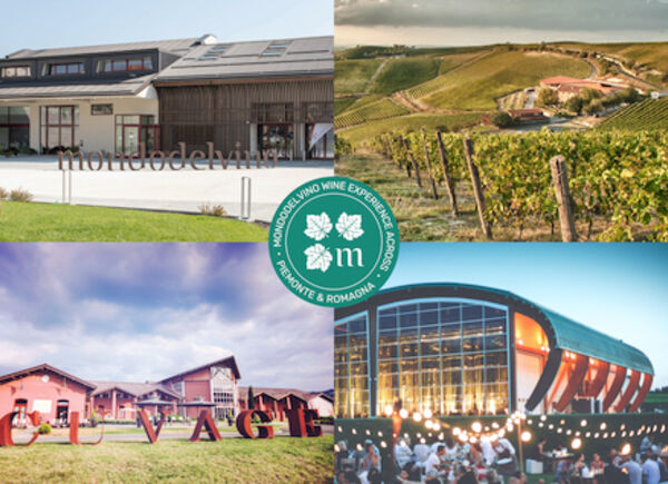 Mondodelvino presenta Wine Experience Across: dal museo digitale del vino alla scoperta del territorio