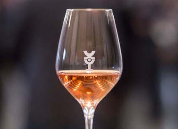 Gli impatti del cambiamento climatico sulla vinificazione. Parterre di esperti sul tema al Merano WineFestival.