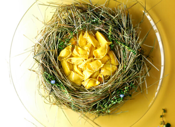 Abbinamento San Michele Appiano e St. Michael-Eppan-Lovers: Pinot Bianco Schulthaus e Agnolotti del plin di Seirass 