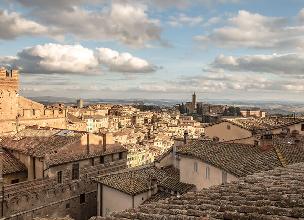La 6^ edizione di Wine&Siena digitale chiude con 305mila account raggiunti